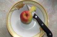 Receta kulinare dhe receta fotografish Receta sufle me gjizë me mollë