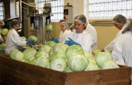 Ideer for småbedrifter: produksjon og salg av surkål Sauerkrautvirksomhet