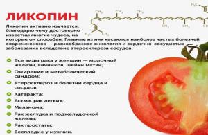 Propiedades útiles de los tomates.