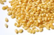 Granos de maíz secos en casa Maíz seco