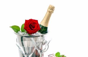 Champagne: fordeler og skader på helsen Om champagne ved sykdom