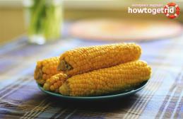 Výhody vařené kukuřice pro ženy a muže