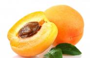 Aprikoskjerner for kreft: hvordan ta?